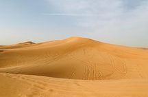 Red Dunes Safari By Quad Bike, Sandboarding, Camel Ride & BBQ Dinner 