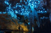 Auckland to Waitomo Caves and Hobbiton Movie Set Private Tour