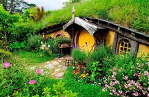 Rotorua to Auckland via Hobbiton Movie Set and Waitomo Caves OneWay Private Tour