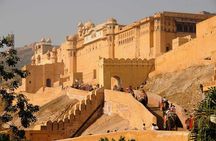 3-Day Private Ranthambhore Tiger Tour Including Delhi, Agra, Jaipur