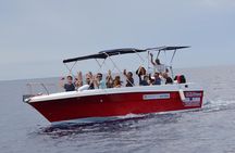 Alghero - Dolphin Watching (Spring & Autumn Tour)