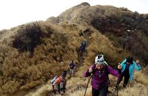 4 Days Mardi Himal Base Camp Trek from Pokhara