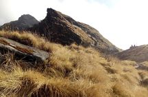 4 Days Mardi Himal Base Camp Trek from Pokhara