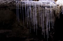 Auckland to Rotorua via Waitomo Caves and Hobbiton Movie Set One-Way Private