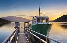 Auckland to Rotorua Private Tour