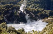 Auckland to Rotorua Private Tour