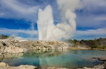 Auckland to Rotorua Private Tour