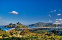 Auckland to Coromandel Private Tour