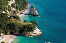 Auckland to Coromandel Private Tour
