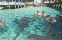 Exuma Day Away - Original Swimming Pigs Excursion