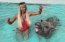 Exuma Day Away - Original Swimming Pigs Excursion