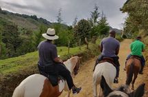 Fun Horse Rides Near Bogota