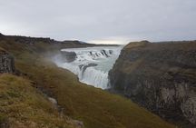 Private Golden Circle Thingvellir,Geysir,Gullfoss,Fridheimar