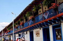 Private half day tour to Nemocon Salt Cathedral and village