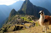 Machupicchu And Huayna Picchu Full Day Privat Guided Service