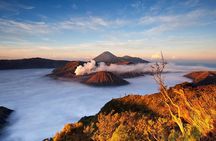 3Days - Adventure Bromo Ijen via Surabaya