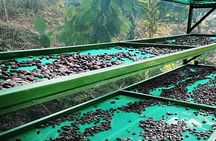 Chocolate and Coffee Tour Manuel Antonio