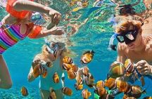 Bali Snorkeling at Blue Lagoon with Transport and Lunch