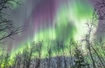 Northern Lights Private tour with your special ones - Greenlander