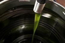 Apprentice Olive Oil taster for a day!