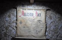 GROUP - Milestii Mici Winery with Tasting