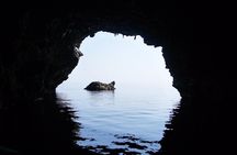 Boat Tour "Sea Caves of Thetis"