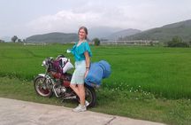 Guided Daily City Tours in Danang 