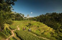 Ubud Rafting - Rice Terrace - Tegenungan Waterfall - Tanah Lot Sunset Temple