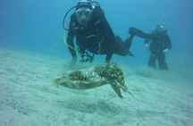 2x diving package, on request including refreshment