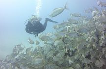 2x diving package, on request including refreshment