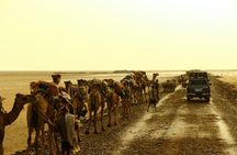 3 days tour Danakil Depression (Dallol & Erta Ale) 