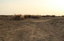 3 days tour Danakil Depression (Dallol & Erta Ale) 