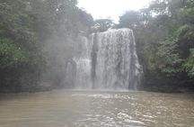 Explore Local Culture and Coffee Tour from Guanacaste