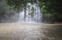 Explore Local Culture and Coffee Tour from Guanacaste