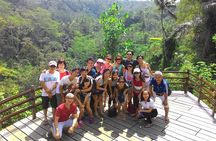 Bali Hindu temple, Rice terrace, Waterfall -All Inclusive