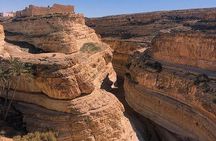 Half-day excursion the mountain oases from Tozeur