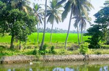 Alappuzha Backwaters in Private Houseboat with Lunch, Pick & Drop