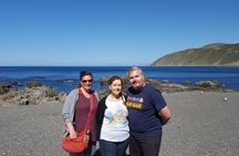 From Cave to Coast Wellington Highlights Tour
