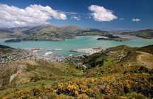 Christchurch Private Luxury Full Day Tour
