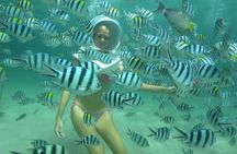 Coral Island Full-day Tour from Phuket City (SHA Plus)