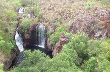 Litchfield National Park and Jumping Crocodile Cruise
