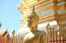 Half Day - Small Group - Doi Suthep Temple and Hmong Village Tour