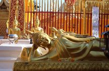 Half Day - Small Group - Doi Suthep Temple and Hmong Village Tour