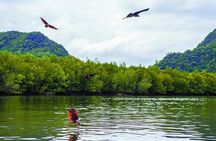 Langkawi Mangrove with Kayaking Experince