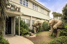 Wellington Shore Excursion: From Cave to Coast Highlights Private Tour