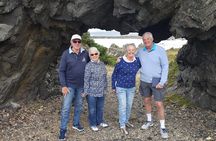Wellington Shore Excursion: From Cave to Coast Highlights Private Tour
