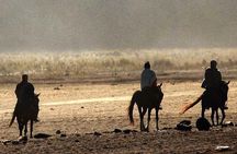 Explore volcano Bromo - start Surabaya // 2 days 1 night