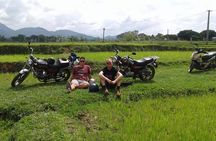 Guided Daily City Tours in Danang 