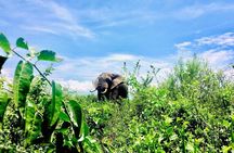 2 Days Family Safari to Murchison Falls Park Uganda