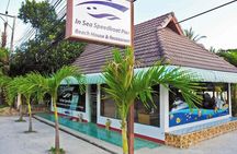 Day Trip to Koh Nangyuan & Koh Tao by Insea Speedboat from Koh Samui